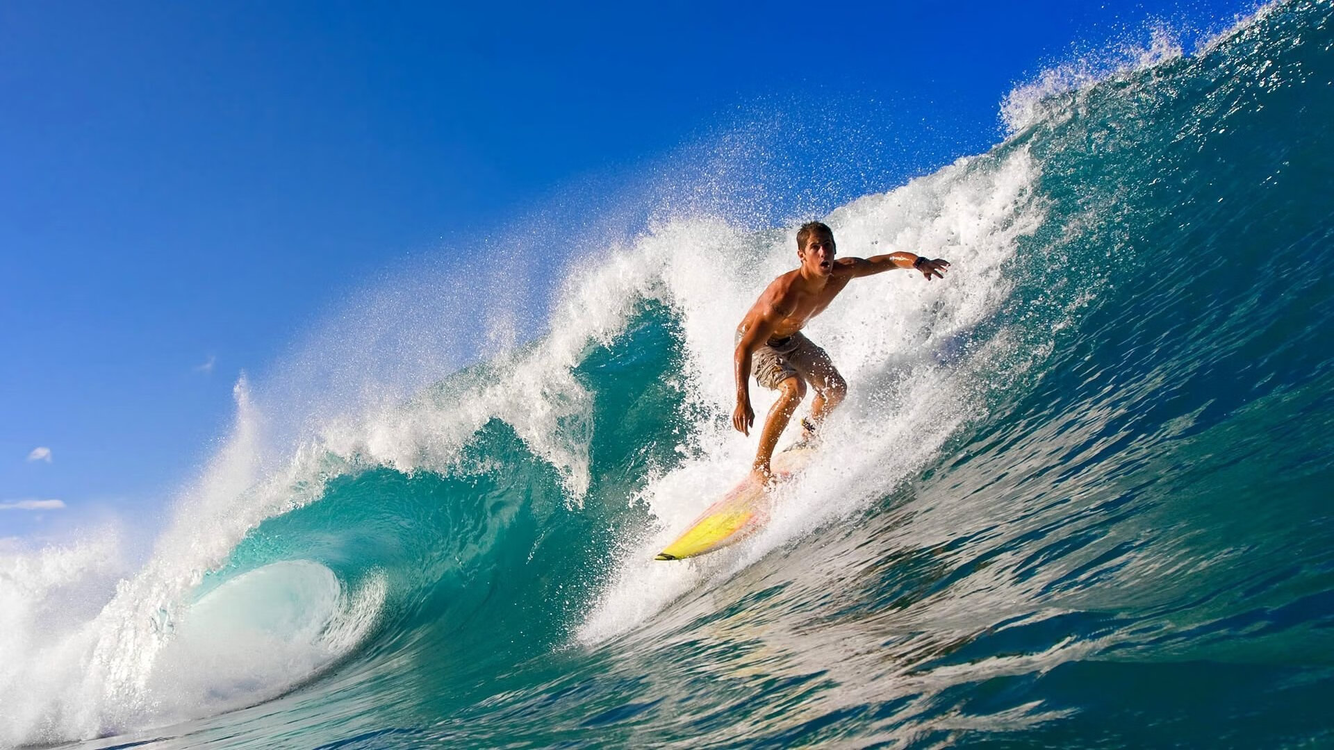 体育新闻中心独家人物专访，体育新闻的主持人是谁